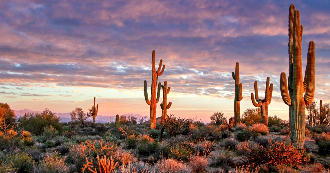 Sun, Sand, and Savings: The 15 Cheapest Places to Retire in the Southwest